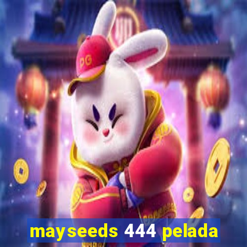 mayseeds 444 pelada